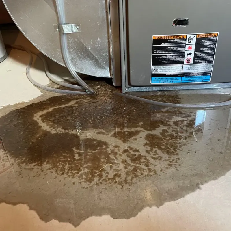 Pipe Burst and Leak Restoration in Colby, KS