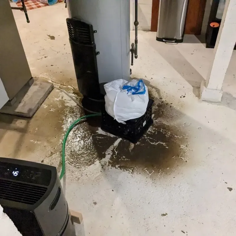 Sewage Backup Cleanup Service in Colby, KS
